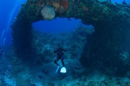Cayman Diving