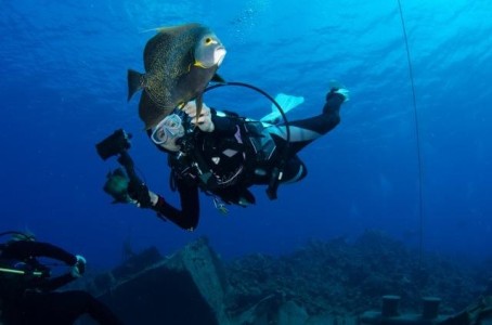 Cayman Diving