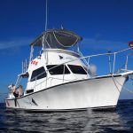 Our Dream Boat