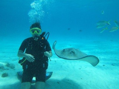 Cayman Diving