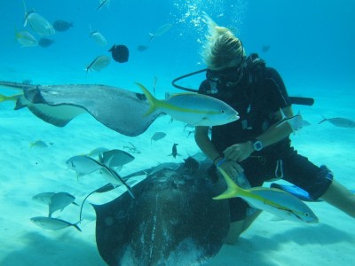 Cayman Diving