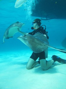 Cayman Diving