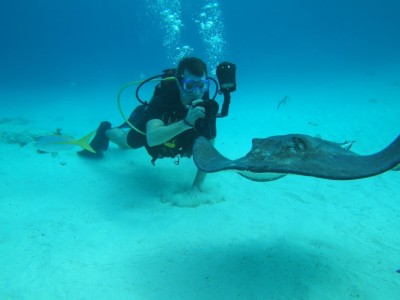 Cayman Diving
