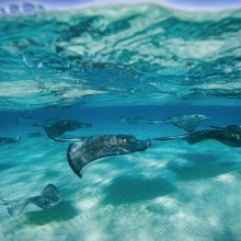 Plan a vacation expeince to remeber for life