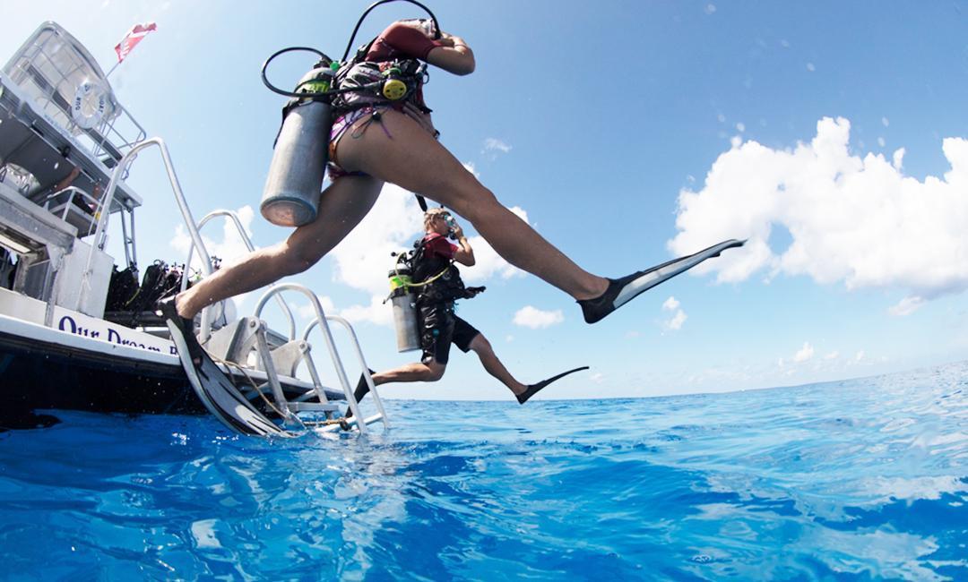 Diving Safety Leash at Carrie Guglielmo blog